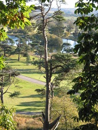 Margam Country Park 1101090 Image 7